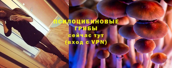 прущий лед Алексин