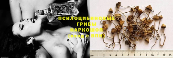 прущий лед Алексин