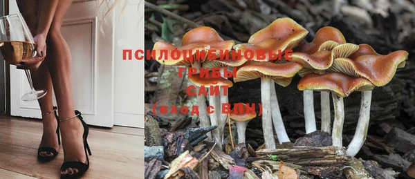 гидропоника Алексеевка