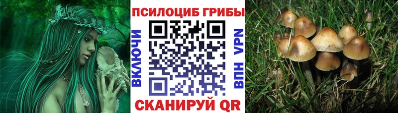 Псилоцибиновые грибы Psilocybe  Дыгулыбгей 